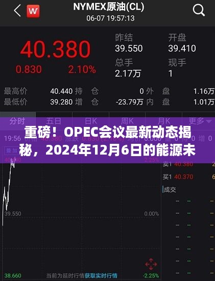 OPEC会议最新动态揭秘，2024年能源未来展望发布在即