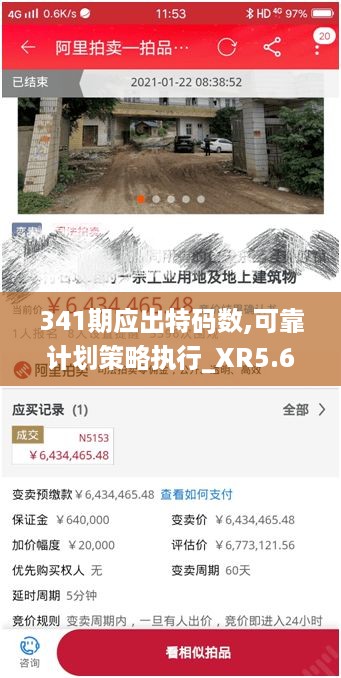 341期应出特码数,可靠计划策略执行_XR5.678