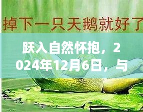 跃入自然怀抱，2024年12月6日，与两栖蛙蛙共舞，下载自然的最新章节