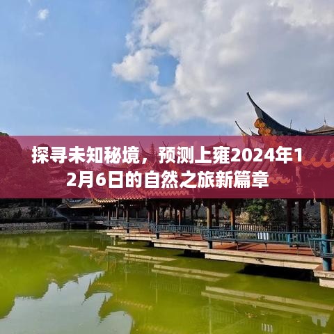 上雍2024年12月6日自然之旅新篇章，探寻未知秘境的预言之旅