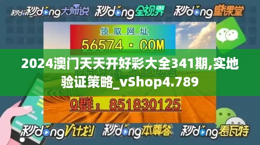 2024澳门天天开好彩大全341期,实地验证策略_vShop4.789