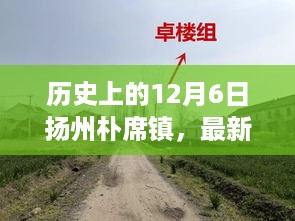 揭秘千年古镇扬州朴席镇的魅力，最新动态回顾历史上的12月6日