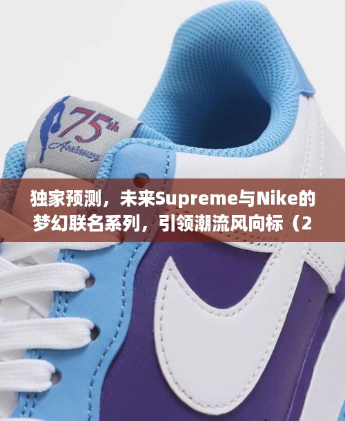 独家揭秘，Supreme与Nike梦幻联名系列即将引领潮流新纪元（2024年展望）