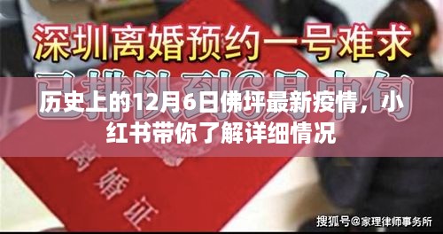 小红书揭秘，佛坪疫情最新动态，历史12月6日疫情实录