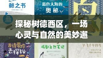 探秘树德西区，心灵与自然的奇妙之旅，启程日期2024年12月6日