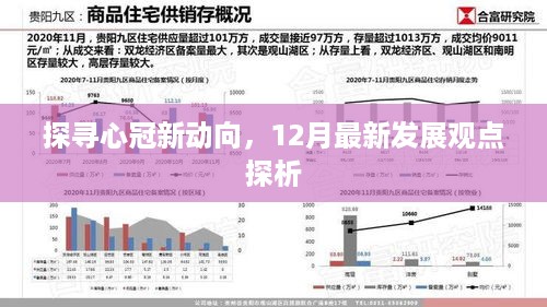 心冠新动向解析，12月最新发展观点深度探讨