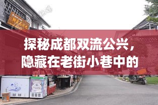 探秘成都双流公兴老街小巷，独特风味小店揭秘与2024最新规划展望