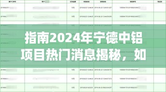 揭秘2024年宁德中铝项目热门消息，参与项目任务与技能提升指南