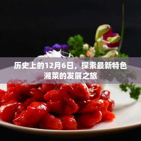 探索湘菜新纪元，历史上的十二月六日特色湘菜发展之旅