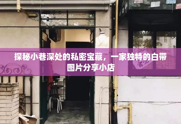 探秘小巷深处的私密宝藏，一家独特的白带图片分享小店