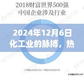 2024年12月6日化工业的热点资讯深度解析