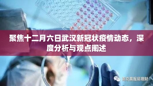 武汉新冠疫情动态观察，十二月六日的深度分析与观点阐述