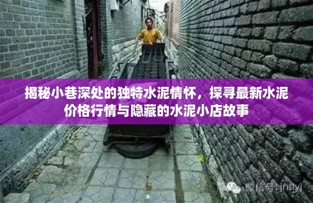 小巷深处的独特水泥情怀，水泥价格行情与隐藏小店故事探索