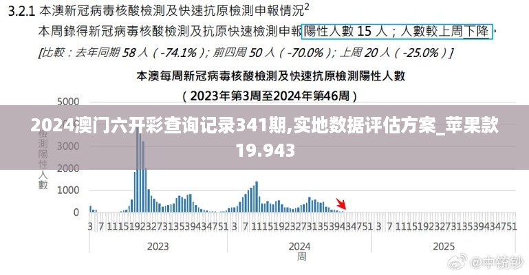 2024澳门六开彩查询记录341期,实地数据评估方案_苹果款19.943