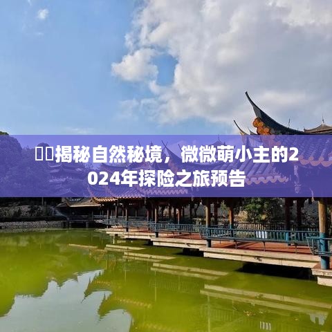 揭秘自然秘境，萌小主的探险之旅预告（XXXX年）