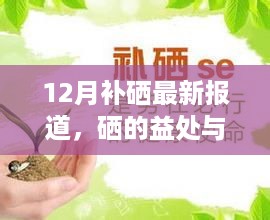 12月最新硒元素报道，硒的益处与风险解析