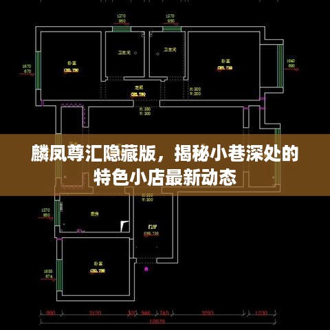 麟凤尊汇隐藏版，小巷深处特色小店最新动态揭秘