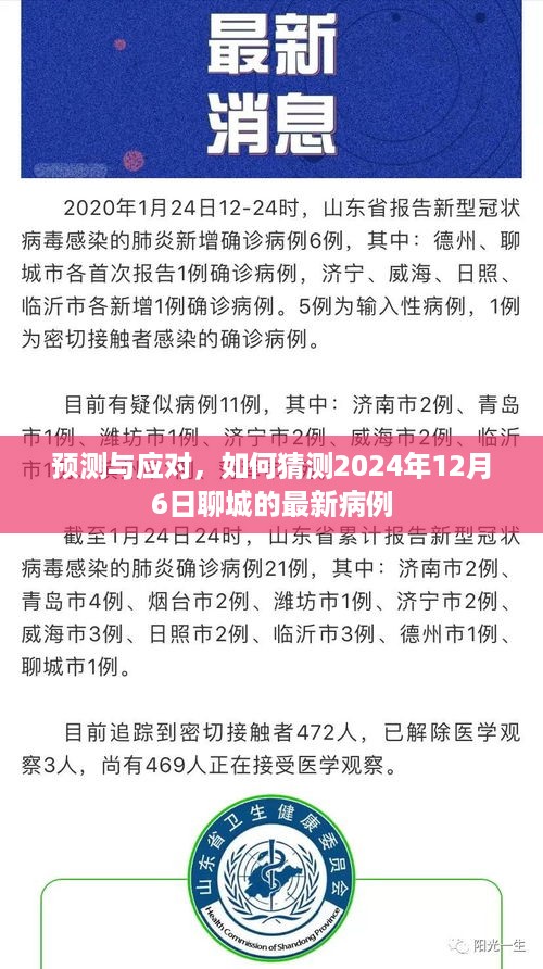 预测与应对，聊城最新病例预测及应对策略分析（预计日期，2024年12月6日）