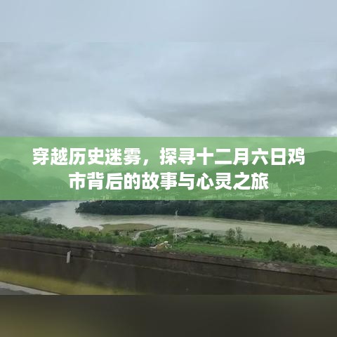 穿越迷雾，探寻鸡市背后的故事与心灵之旅的十二月六日之旅