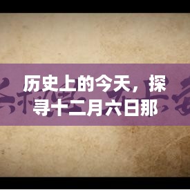 2024年12月8日 第37页