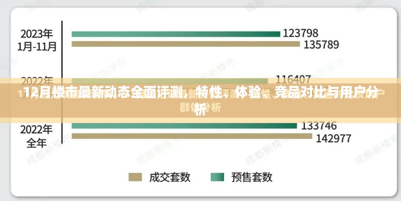 12月楼市动态深度解析，特性、体验、竞品对比及用户洞察