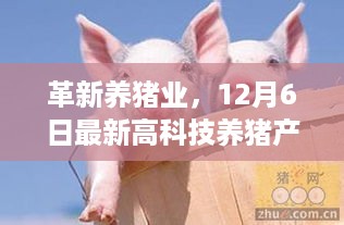 革新养猪业，最新高科技养猪产品体验报告揭秘