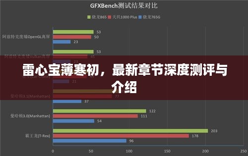 雷心宝薄寒初，最新章节深度解析与介绍