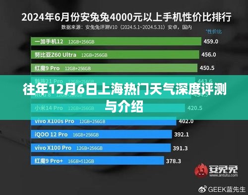 2024年12月8日 第28页