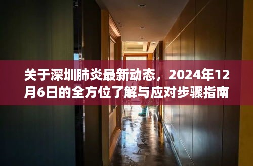 关于深圳肺炎最新动态，2024年12月6日的全方位了解与应对步骤指南