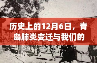 2024年12月8日 第22页