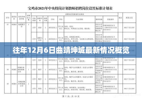 2024年12月8日 第11页