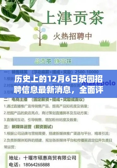 历史上的12月6日茶园招聘信息深度解析与最新动态