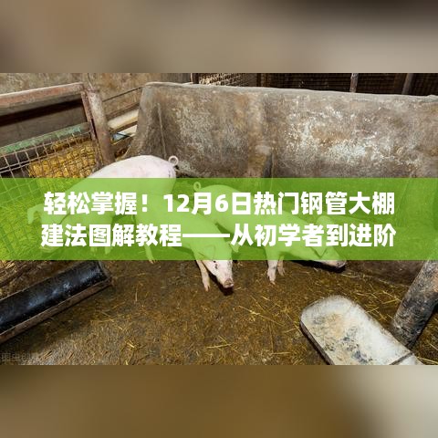 12月6日热门钢管大棚建法图解教程，初学者到进阶用户的完美指南