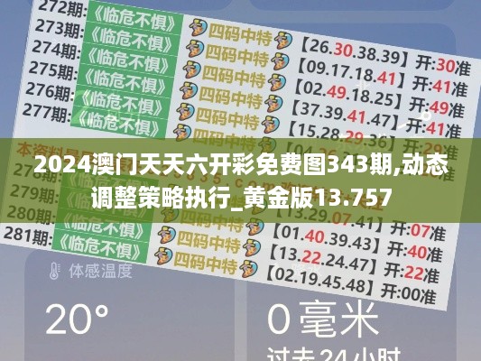 2024澳门天天六开彩免费图343期,动态调整策略执行_黄金版13.757