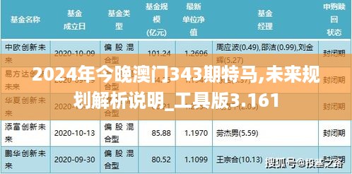 2024年今晚澳门343期特马,未来规划解析说明_工具版3.161