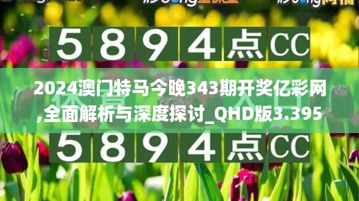 2024澳门特马今晚343期开奖亿彩网,全面解析与深度探讨_QHD版3.395