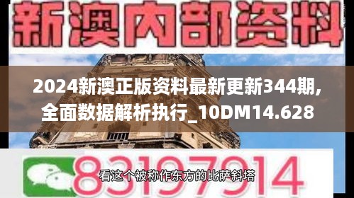 2024新澳正版资料最新更新344期,全面数据解析执行_10DM14.628