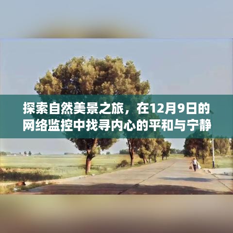 12月9日网络监控下的自然美景探索之旅，寻找内心的平和与宁静