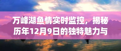 万峰湖鱼情实时监控揭秘，每年12月9日的独特魅力与深远影响探索