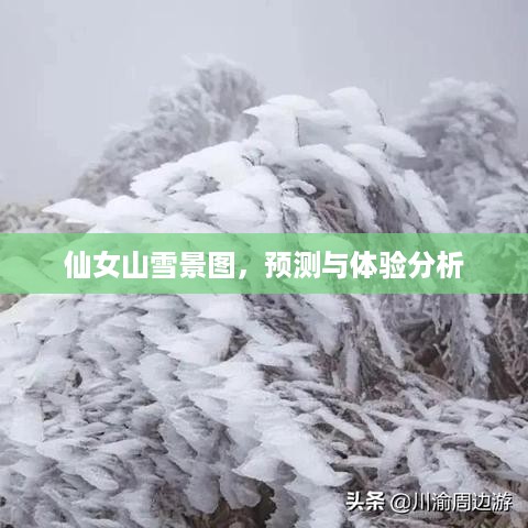 仙女山雪景图，预测与体验分析