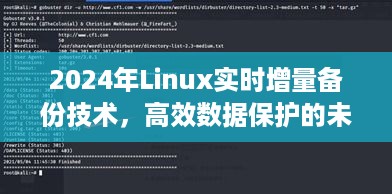 2024年Linux实时增量备份技术，高效数据保护的新篇章