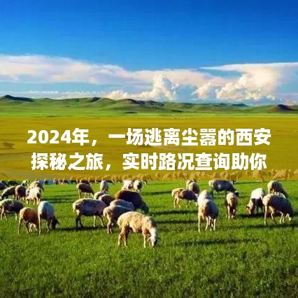 2024年，一场逃离尘嚣的西安探秘之旅，实时路况查询助你畅游自然美景