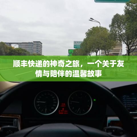 顺丰快递的友情之旅，陪伴与温馨的神奇故事