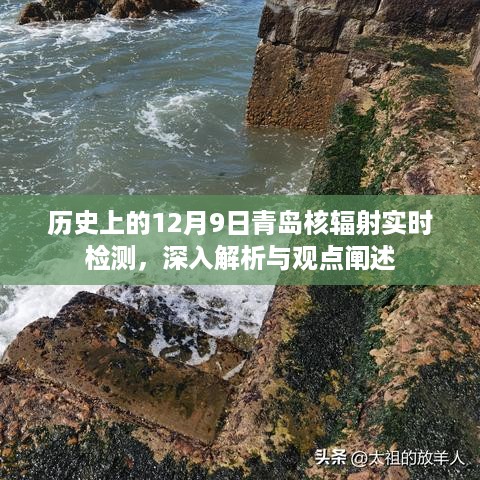 建议，历史上的青岛核辐射实时检测，深度解析与观点阐述