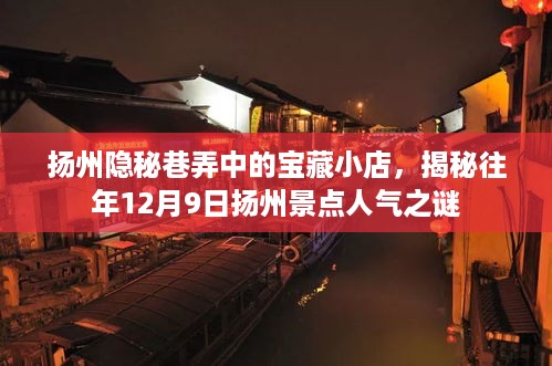 扬州隐秘巷弄宝藏小店揭秘，探寻往年人气爆棚的景点之谜