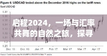 启程2024，汇率之舞与内心的平和宁静探寻之旅