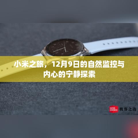 小米之旅，自然监控与内心宁静的探寻之路（12月9日启程）