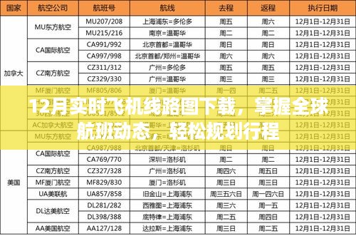 全球航班实时动态掌握，12月飞机线路图下载助你轻松规划行程