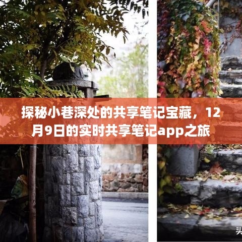 探秘小巷深处的共享笔记宝藏，实时共享笔记app的奇妙之旅（12月9日）