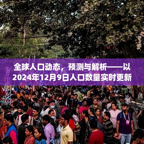 全球人口动态实时解析与预测，以最新数据揭示未来人口趋势（截至2024年12月9日）